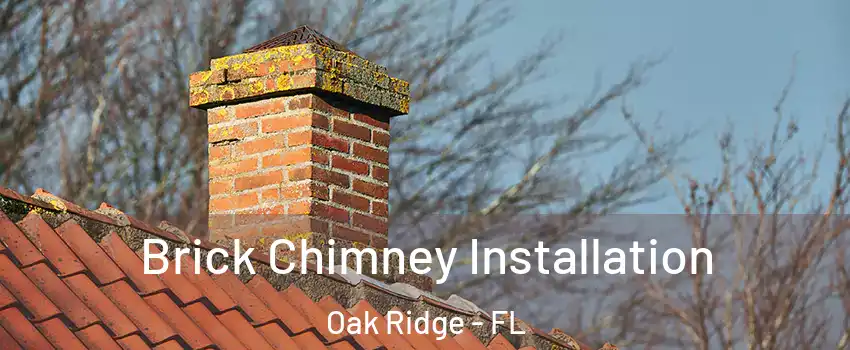  Brick Chimney Installation Oak Ridge - FL