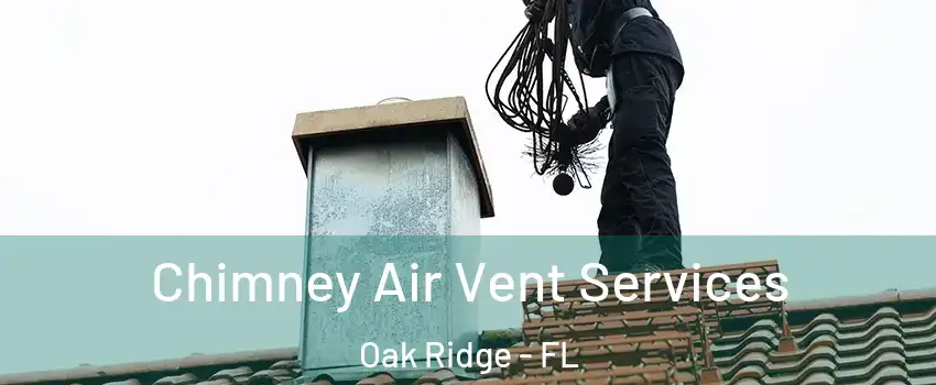  Chimney Air Vent Services Oak Ridge - FL