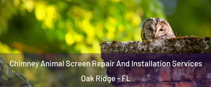  Chimney Animal Screen Repair And Installation Services Oak Ridge - FL