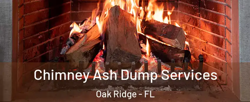  Chimney Ash Dump Services Oak Ridge - FL