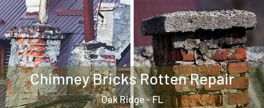  Chimney Bricks Rotten Repair Oak Ridge - FL