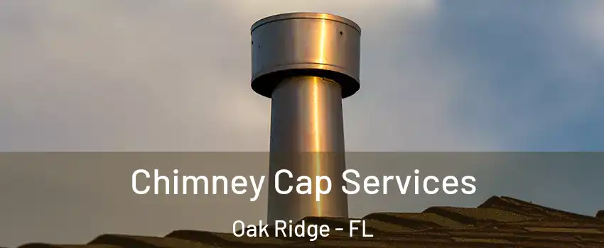  Chimney Cap Services Oak Ridge - FL