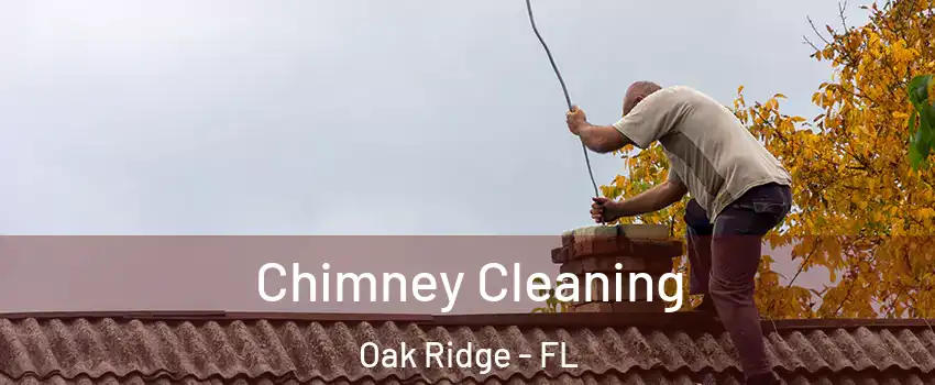  Chimney Cleaning Oak Ridge - FL