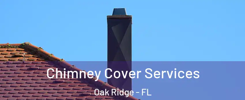  Chimney Cover Services Oak Ridge - FL