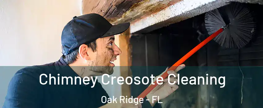  Chimney Creosote Cleaning Oak Ridge - FL