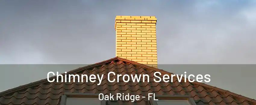  Chimney Crown Services Oak Ridge - FL