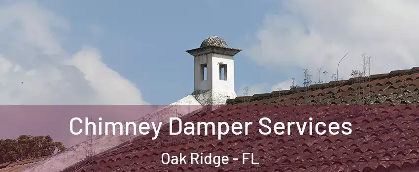  Chimney Damper Services Oak Ridge - FL