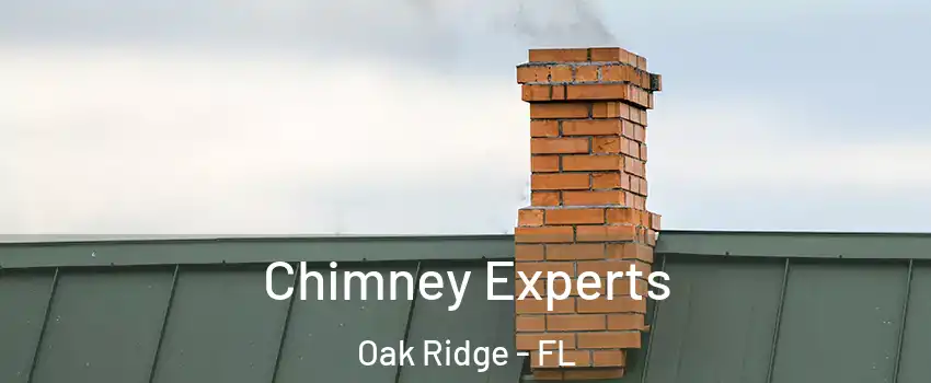  Chimney Experts Oak Ridge - FL