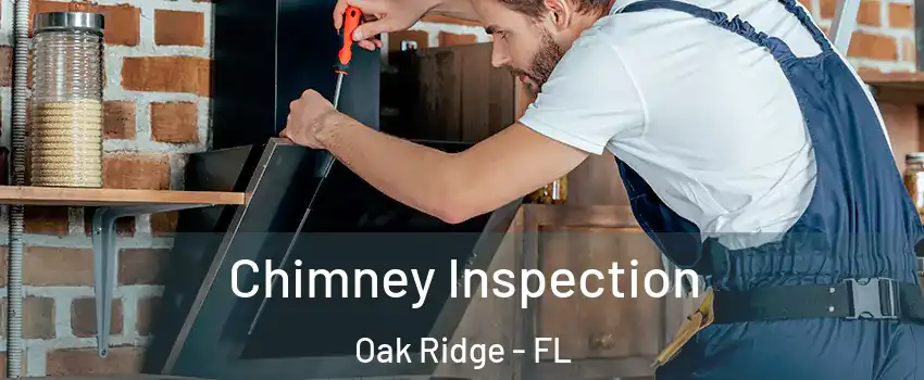  Chimney Inspection Oak Ridge - FL