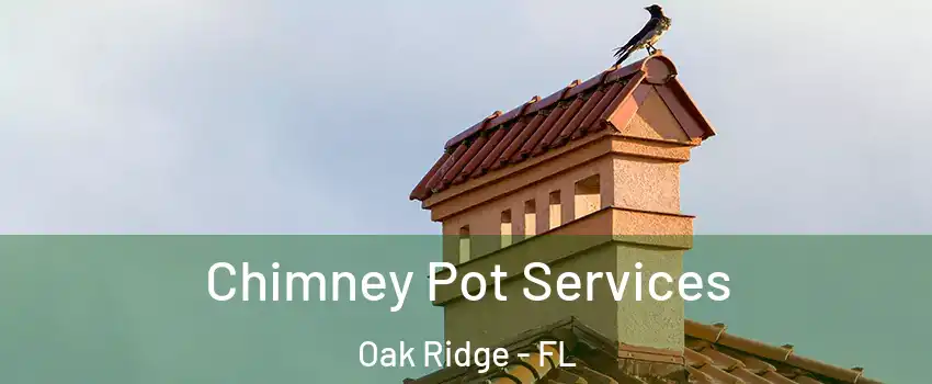  Chimney Pot Services Oak Ridge - FL