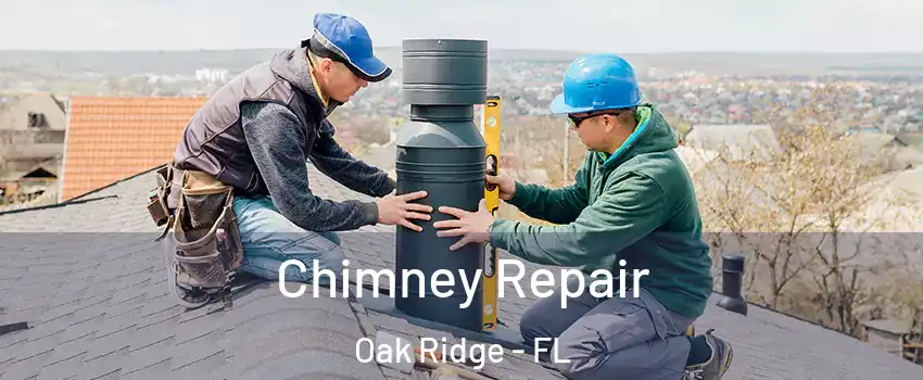  Chimney Repair Oak Ridge - FL