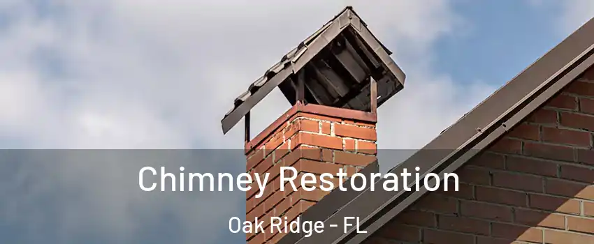  Chimney Restoration Oak Ridge - FL