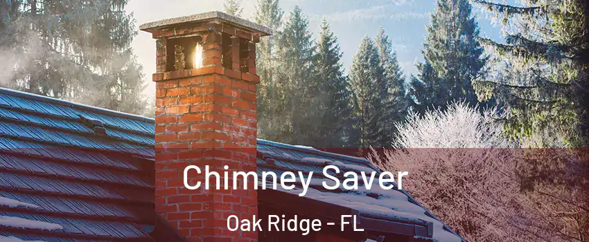  Chimney Saver Oak Ridge - FL