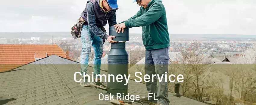  Chimney Service Oak Ridge - FL