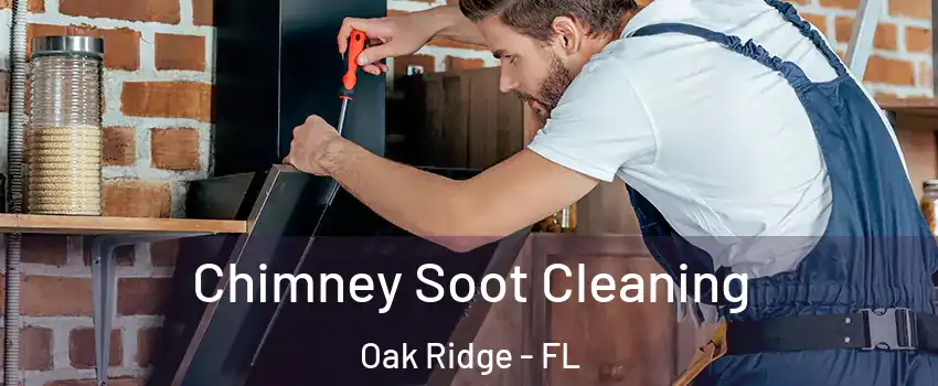  Chimney Soot Cleaning Oak Ridge - FL