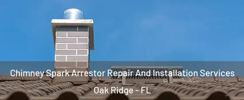  Chimney Spark Arrestor Repair And Installation Services Oak Ridge - FL