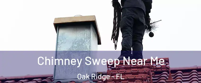  Chimney Sweep Near Me Oak Ridge - FL