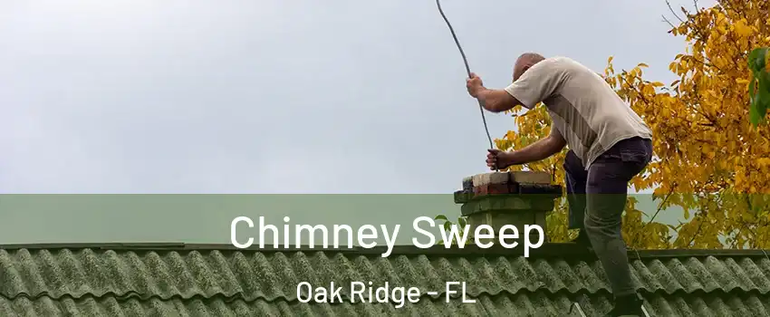  Chimney Sweep Oak Ridge - FL