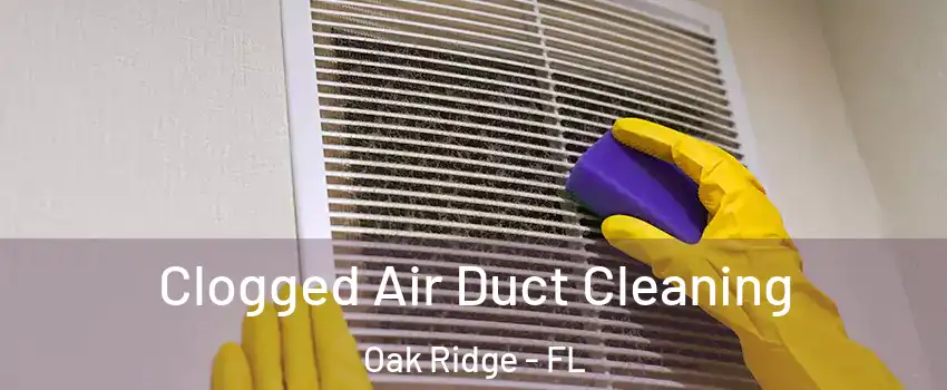  Clogged Air Duct Cleaning Oak Ridge - FL
