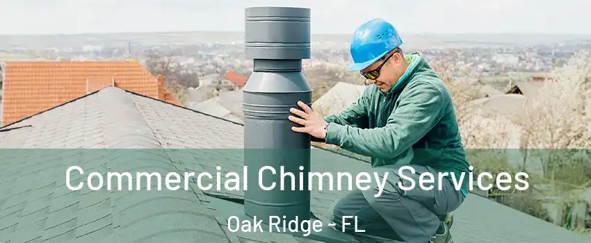  Commercial Chimney Services Oak Ridge - FL