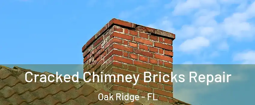  Cracked Chimney Bricks Repair Oak Ridge - FL