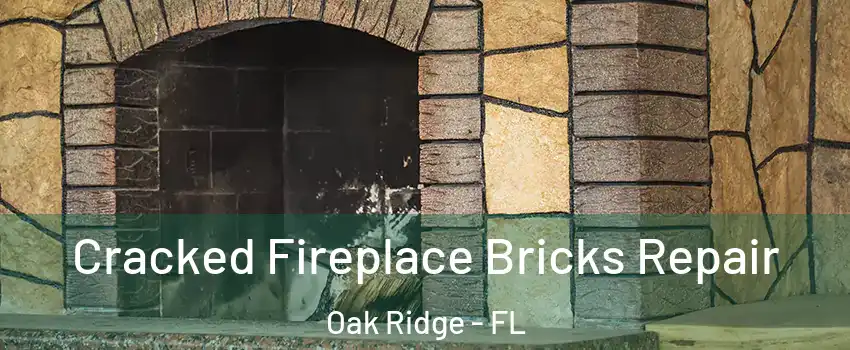  Cracked Fireplace Bricks Repair Oak Ridge - FL
