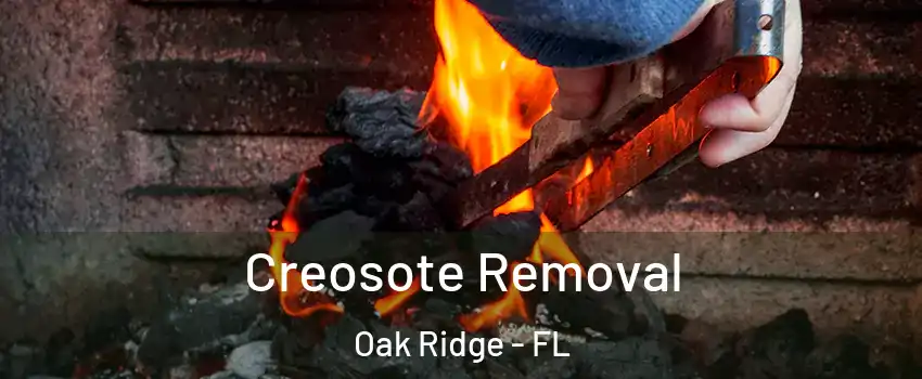  Creosote Removal Oak Ridge - FL