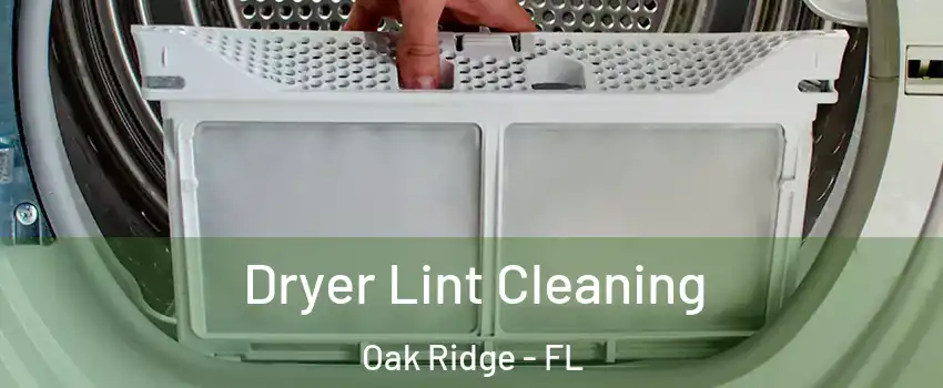  Dryer Lint Cleaning Oak Ridge - FL