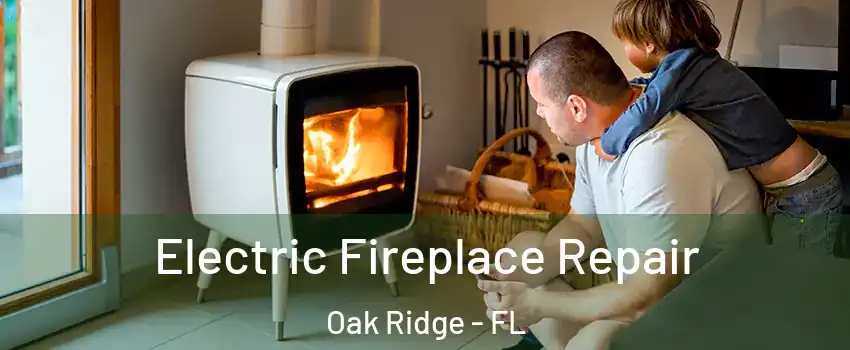  Electric Fireplace Repair Oak Ridge - FL