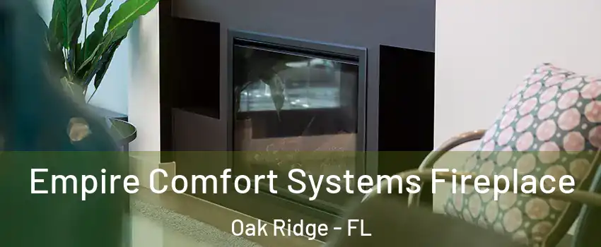 Empire Comfort Systems Fireplace Oak Ridge - FL