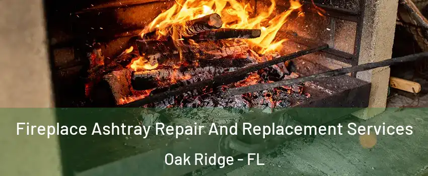  Fireplace Ashtray Repair And Replacement Services Oak Ridge - FL