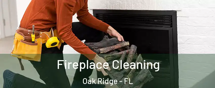  Fireplace Cleaning Oak Ridge - FL