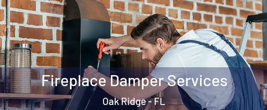  Fireplace Damper Services Oak Ridge - FL