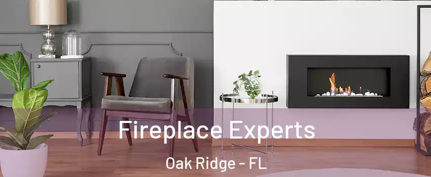  Fireplace Experts Oak Ridge - FL