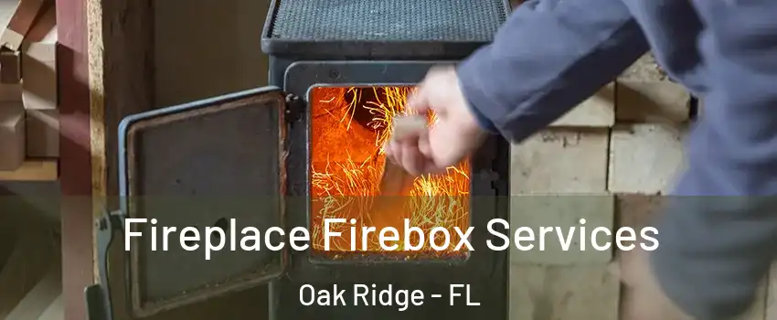  Fireplace Firebox Services Oak Ridge - FL
