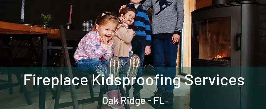  Fireplace Kidsproofing Services Oak Ridge - FL