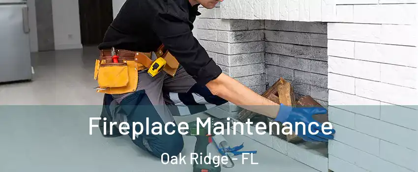  Fireplace Maintenance Oak Ridge - FL
