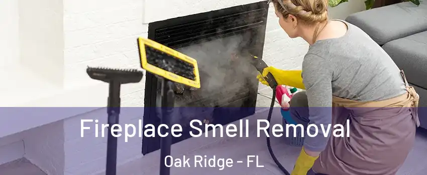  Fireplace Smell Removal Oak Ridge - FL