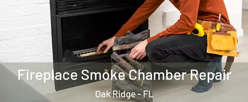  Fireplace Smoke Chamber Repair Oak Ridge - FL