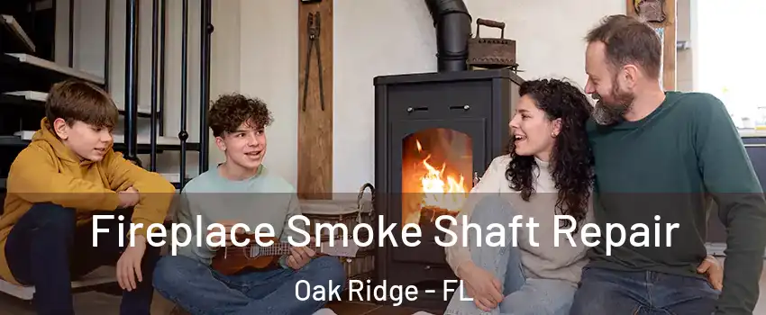  Fireplace Smoke Shaft Repair Oak Ridge - FL