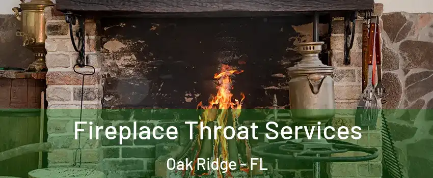  Fireplace Throat Services Oak Ridge - FL
