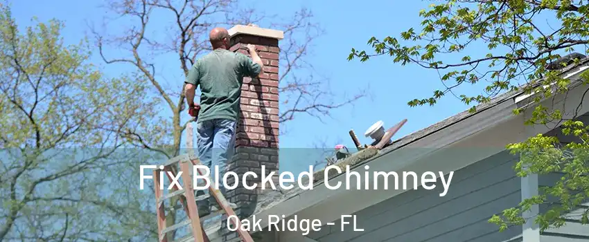  Fix Blocked Chimney Oak Ridge - FL