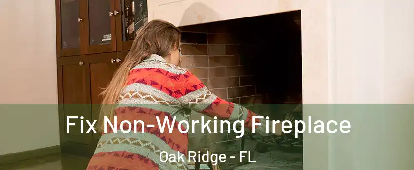  Fix Non-Working Fireplace Oak Ridge - FL