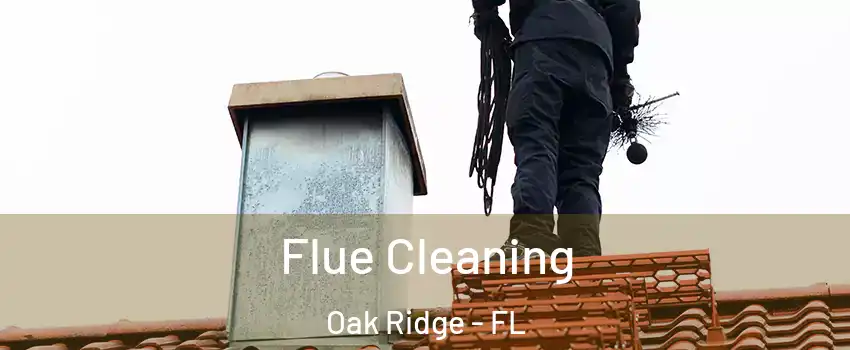  Flue Cleaning Oak Ridge - FL