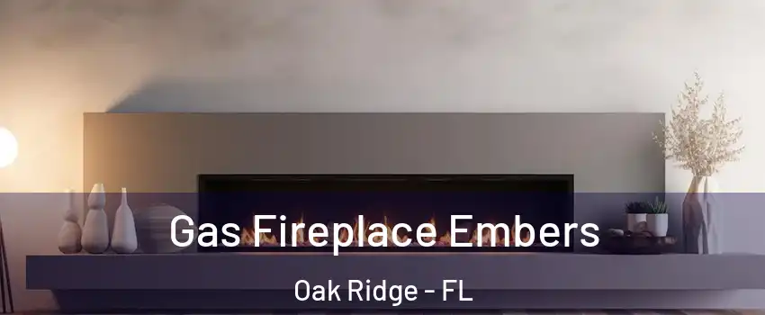  Gas Fireplace Embers Oak Ridge - FL