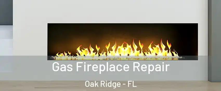  Gas Fireplace Repair Oak Ridge - FL