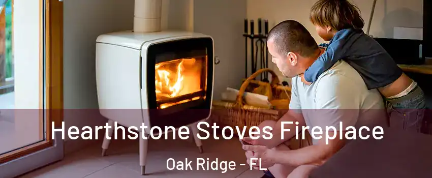  Hearthstone Stoves Fireplace Oak Ridge - FL