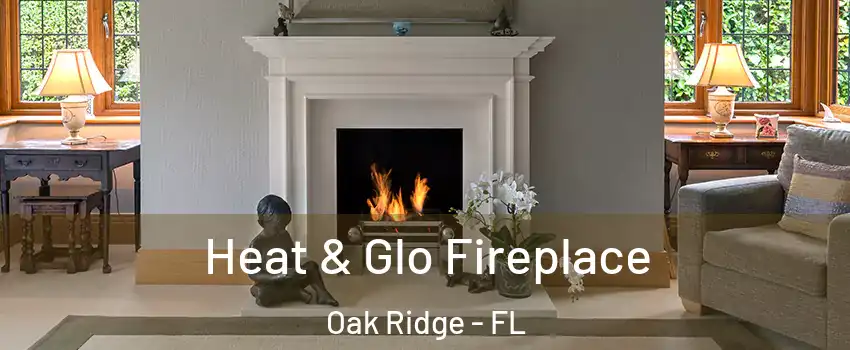  Heat & Glo Fireplace Oak Ridge - FL