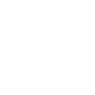 Professional Chimney Flue Installation in Oak Ridge, Florida