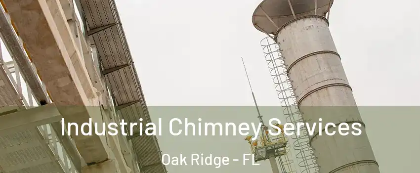  Industrial Chimney Services Oak Ridge - FL